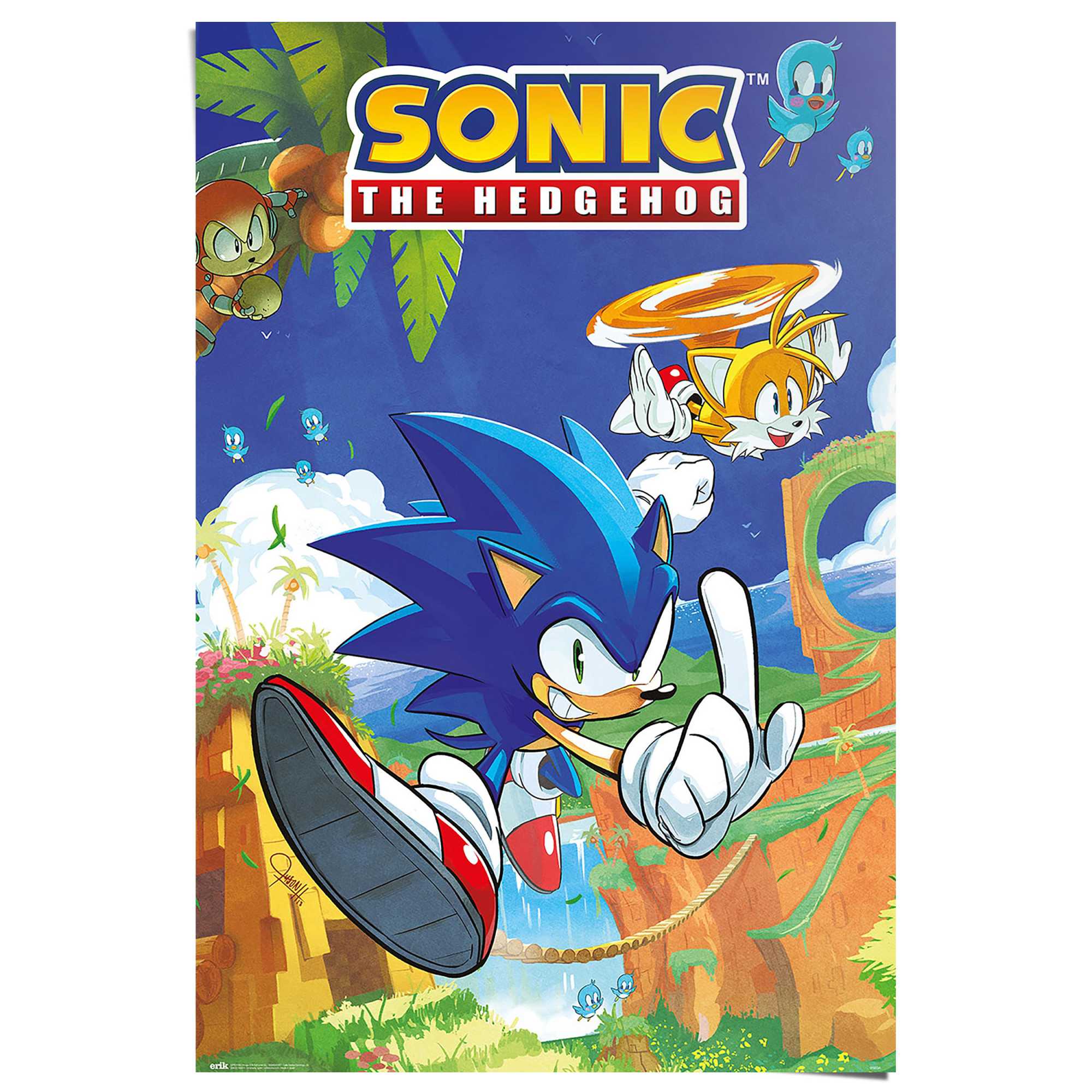 Reinders! Poster »Sonic the Hedgehog - sonic & tails« günstig online kaufen