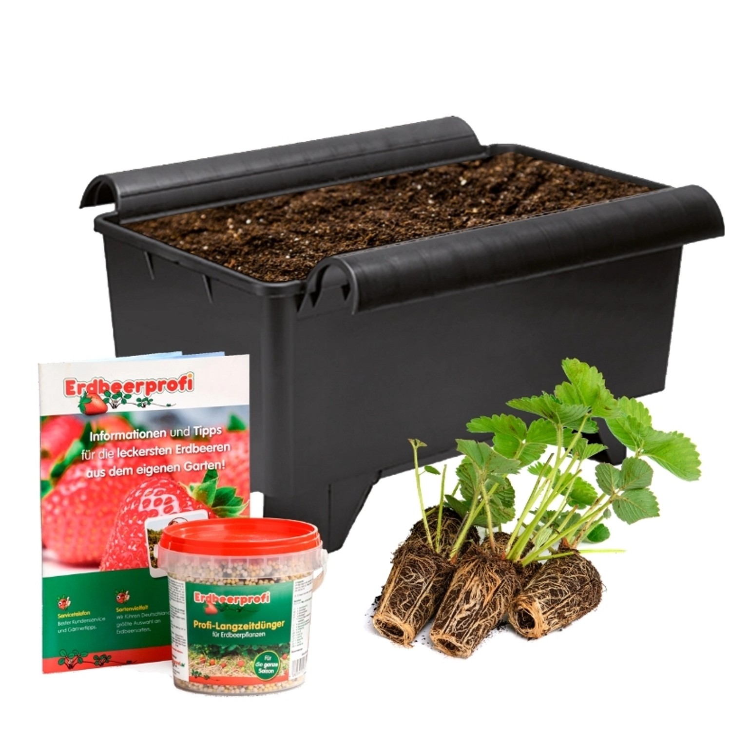 Erdbeerprofi All-in-one-Paket mit  Sonsation  Erdbeeren 5 Topfpflanzen inkl günstig online kaufen