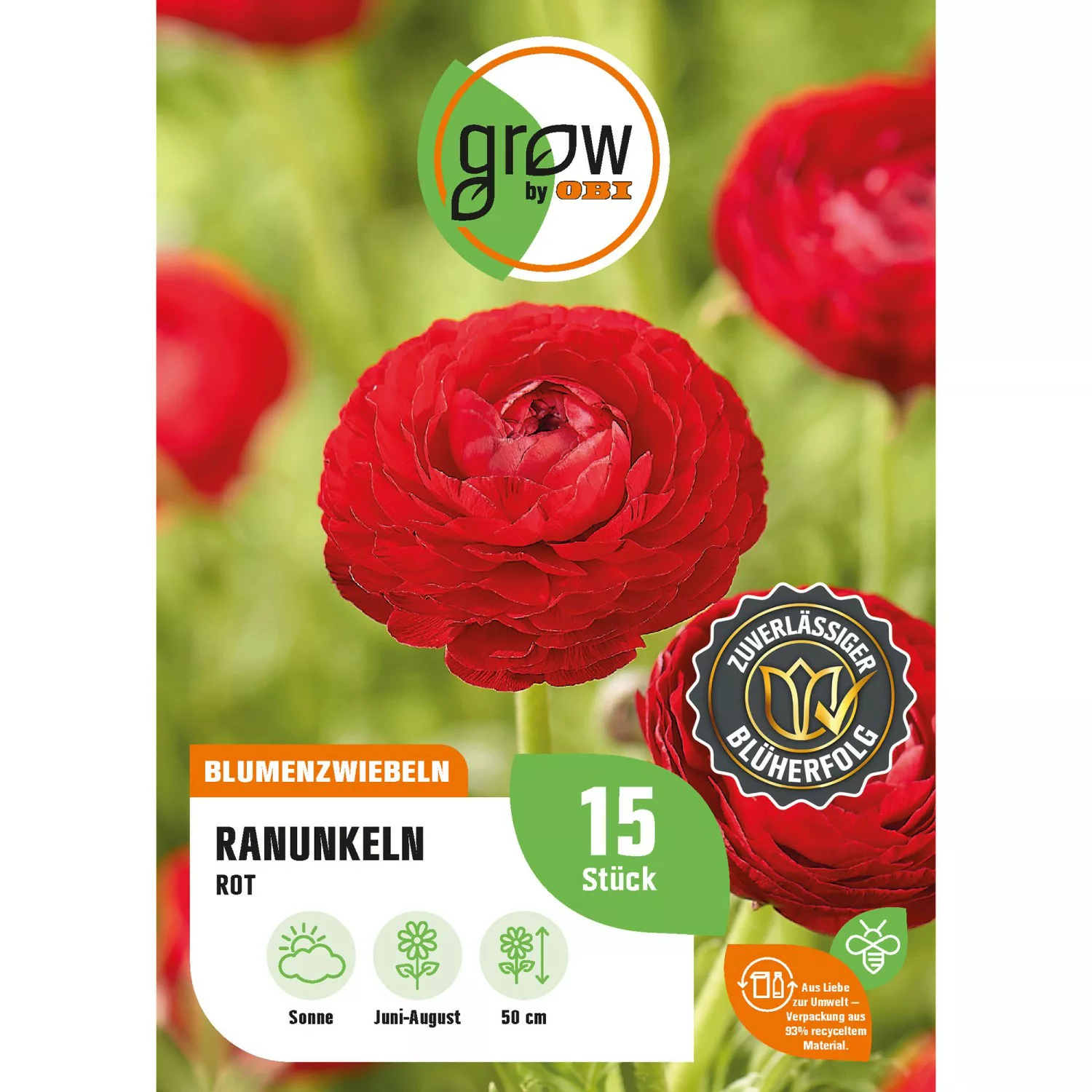 GROW by OBI Ranunkel Asiatisch Rot Höhe ca. 50 cm Ranuculus asiaticus günstig online kaufen