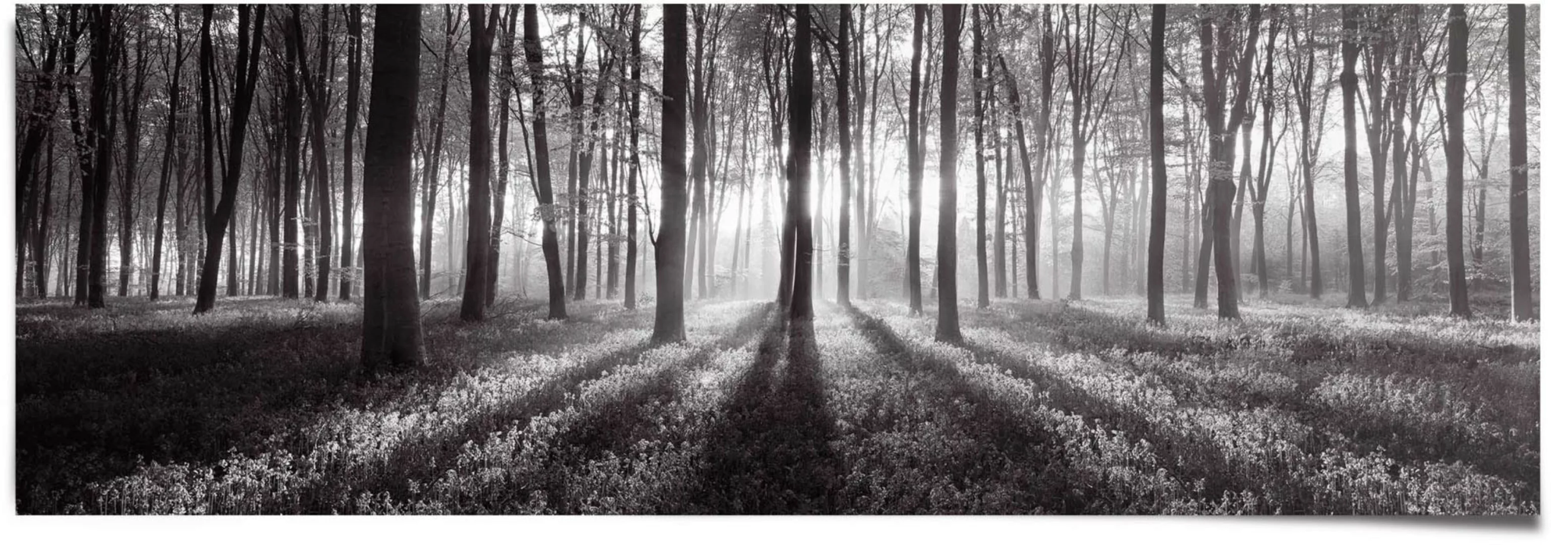 Reinders Poster "Sonnenaufgang im Wald Schwarz-Weiß", (1 St.) günstig online kaufen