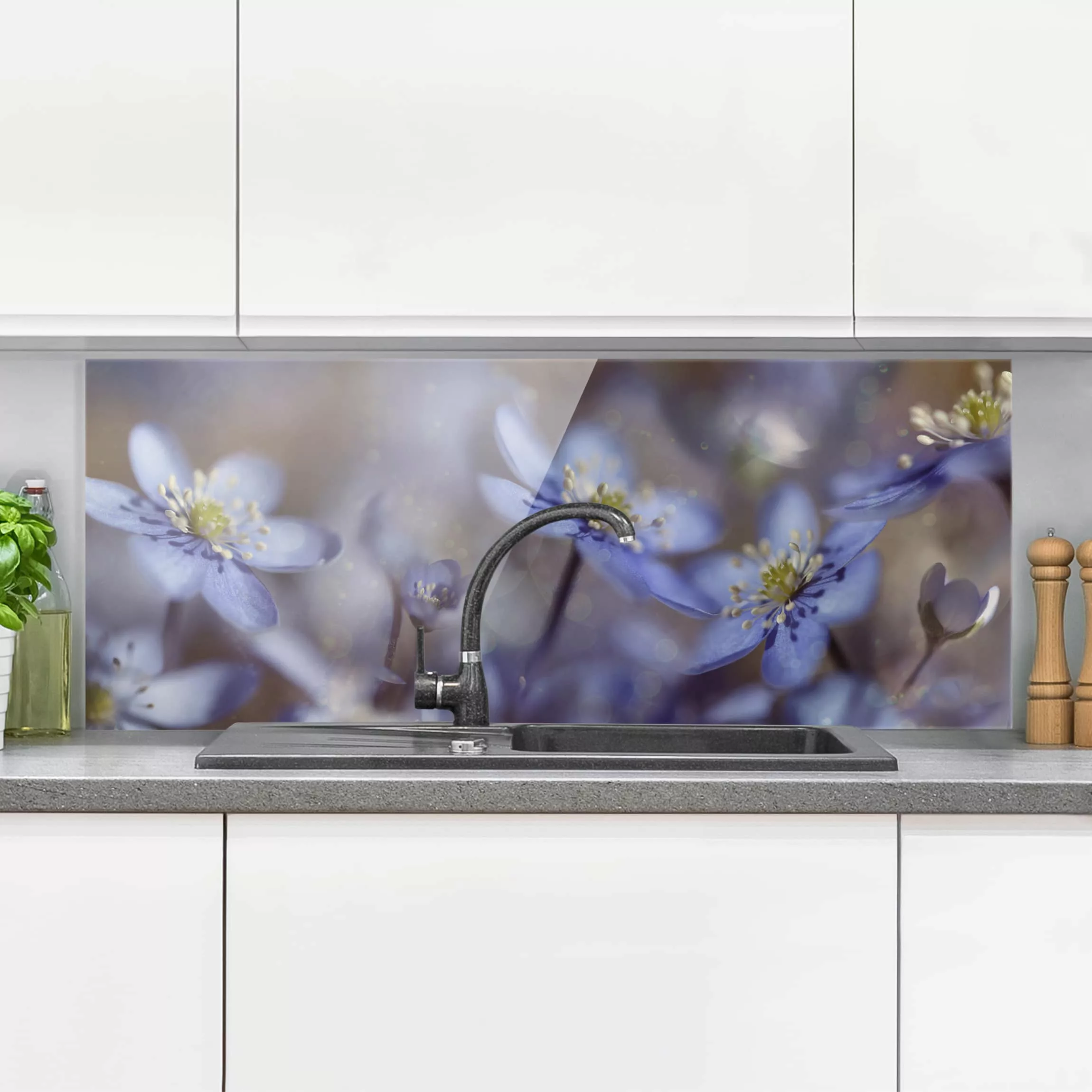 Glas Spritzschutz Blumen - Panorama Anemonen in Blau günstig online kaufen