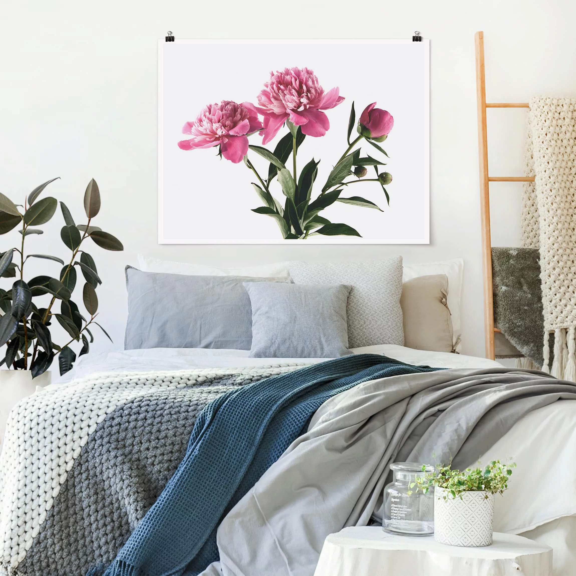 Poster Blumen - Querformat Blüten und Knospen Pink auf Weiß günstig online kaufen