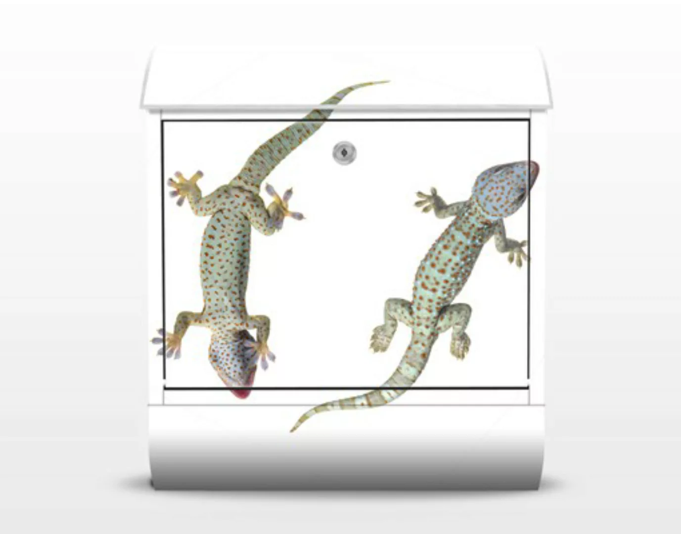 Briefkasten Tiere No.250 Neugierige Geckos günstig online kaufen