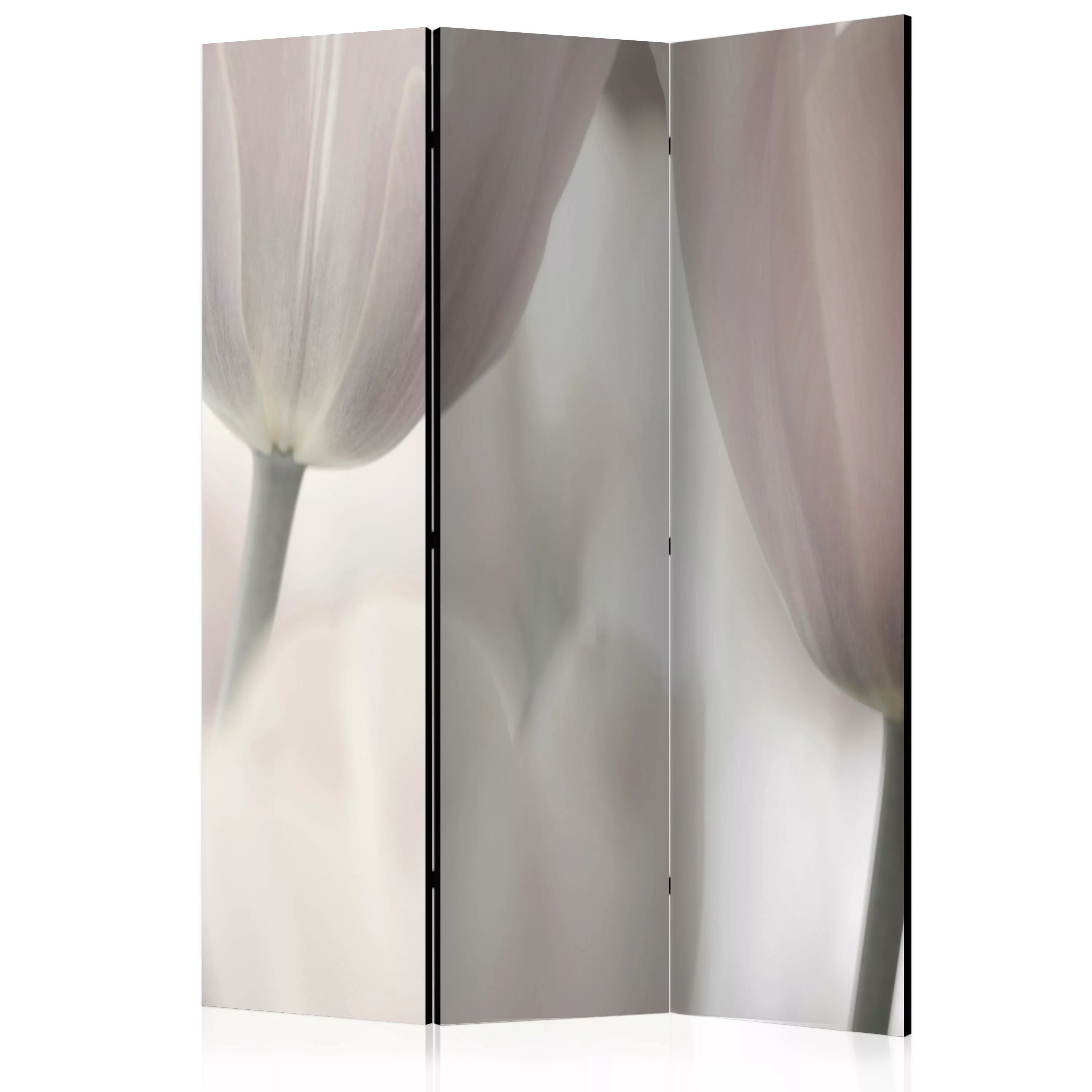 3-teiliges Paravent - Tulips Fine Art - Black And White [room Dividers] günstig online kaufen