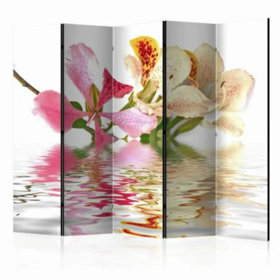artgeist Paravent Tropical flowers - orchid tree (bauhinia) II [Room Divide günstig online kaufen
