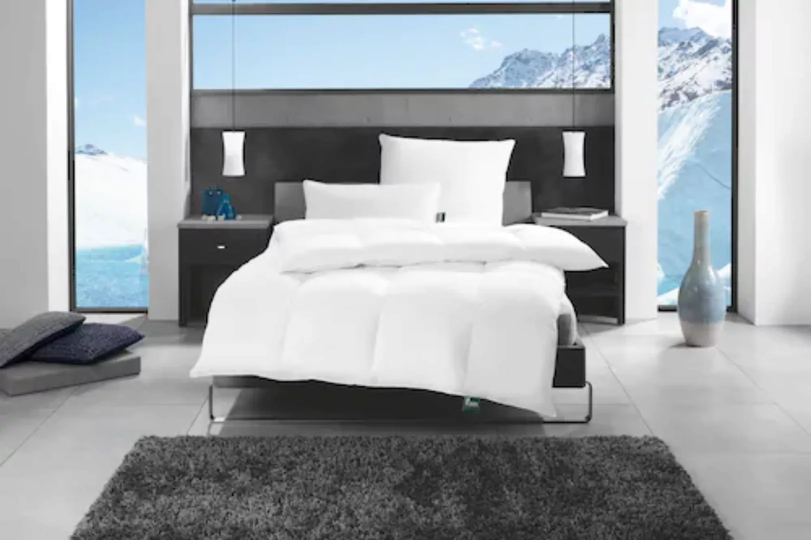 f.a.n. Schlafkomfort Gänsedaunenbettdecke »f.a.n. Alaska«, warm, (1 St.) günstig online kaufen