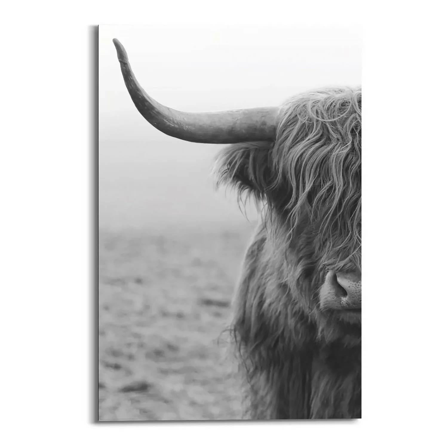 home24 Wandbild Highlander günstig online kaufen