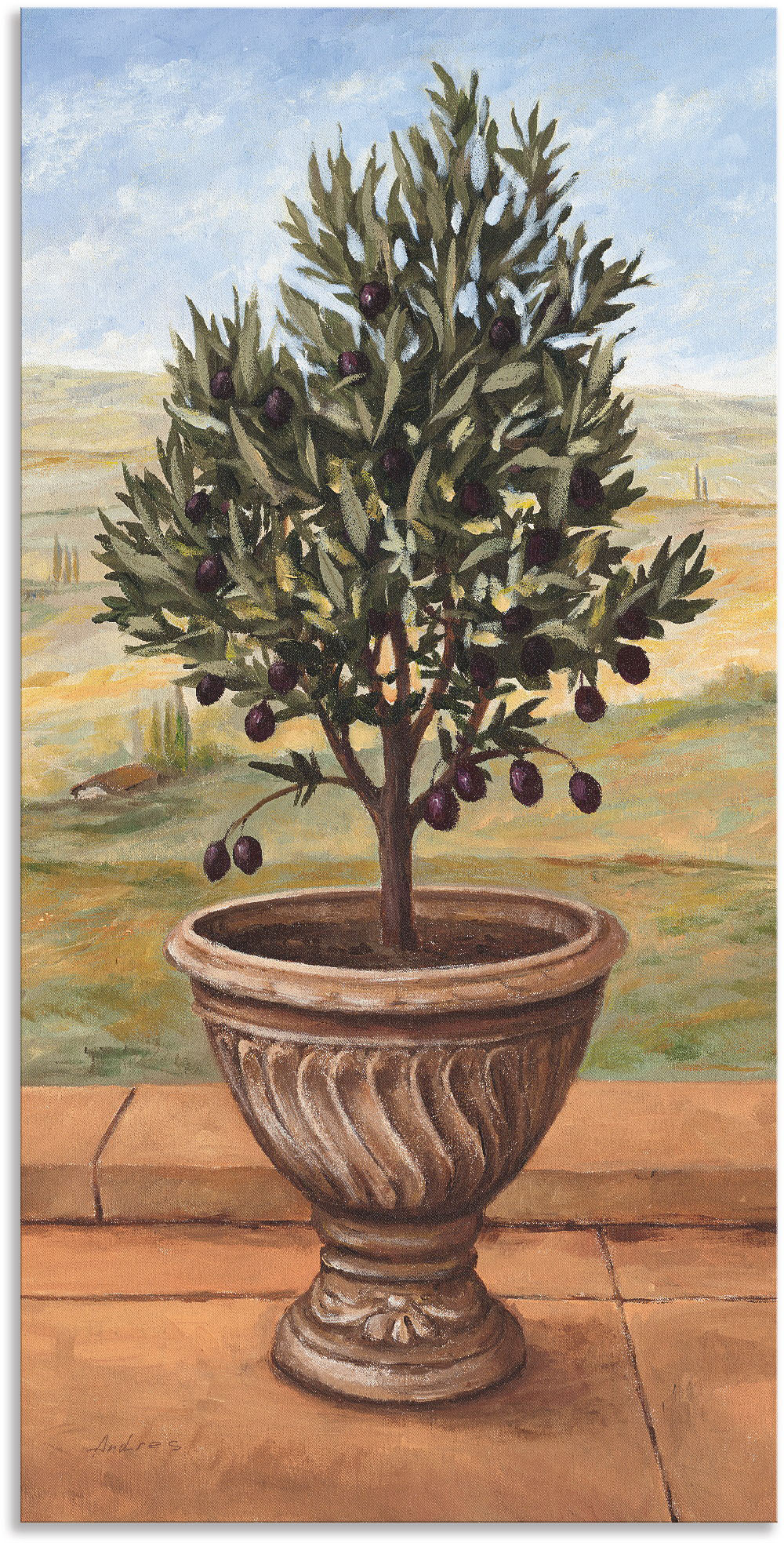 Artland Wandbild »Olivenbaum«, Pflanzen, (1 St.), als Alubild, Outdoorbild, günstig online kaufen