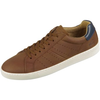 Pius Gabor  Sneaker Tonic 537.16.02-Tonic günstig online kaufen