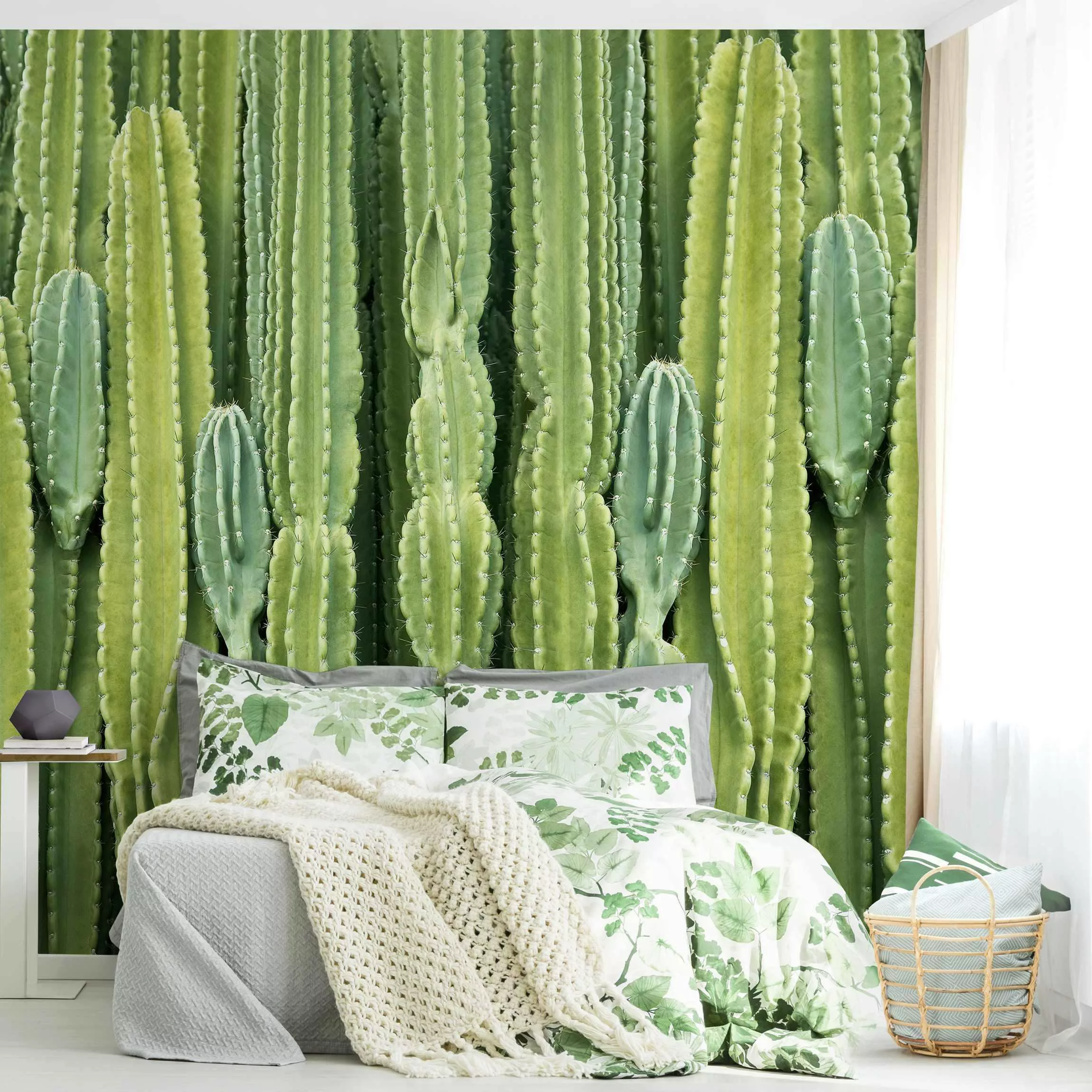 Mustertapete Kaktus Wand günstig online kaufen