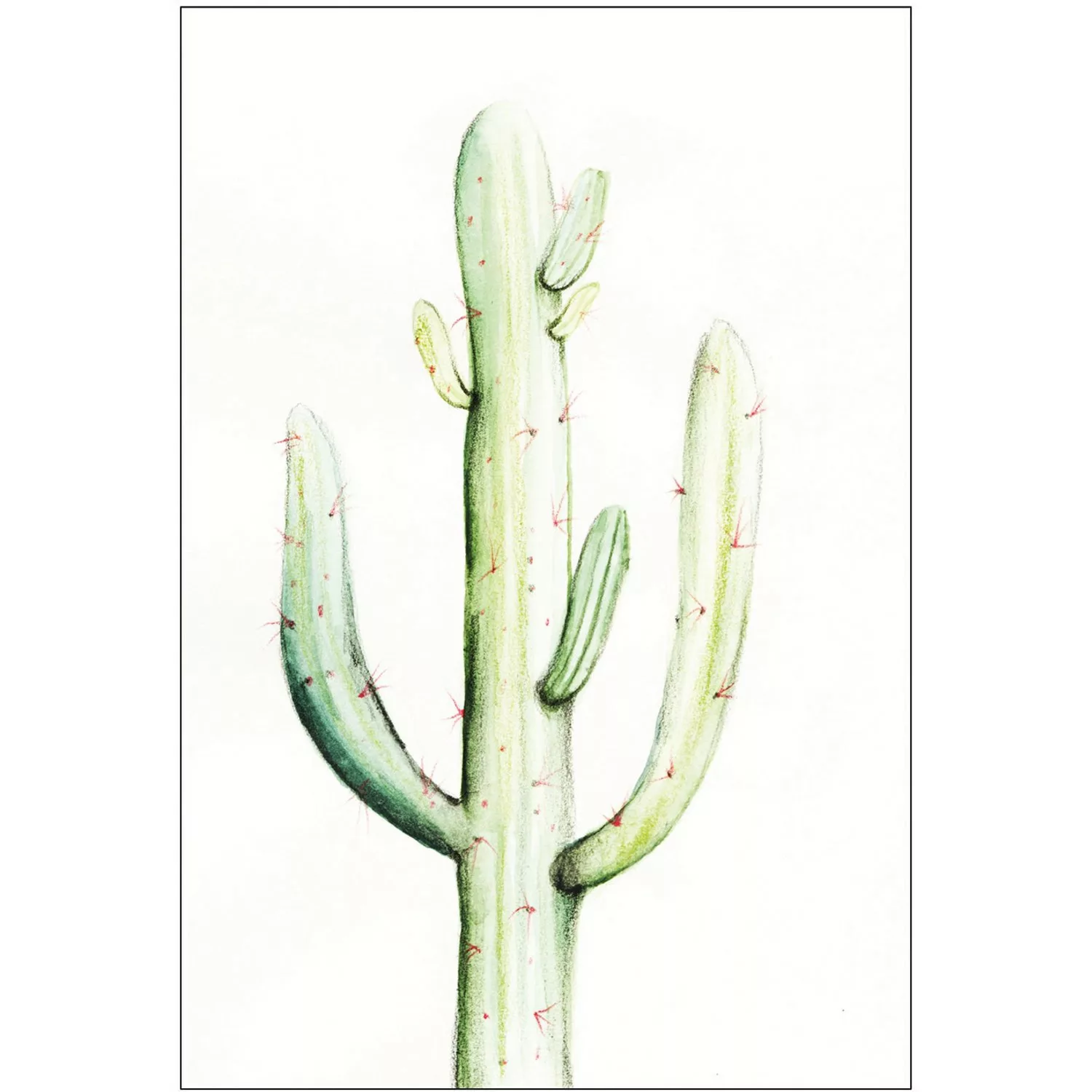 Komar Wandbild Saguaro Watercolor 30 x 40 cm günstig online kaufen