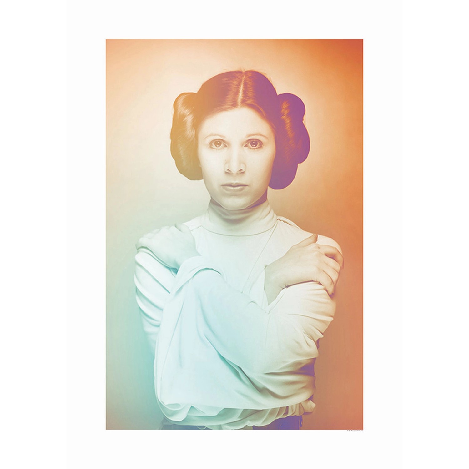 Disney Poster Star Wars Leia Orange und Grün 50 x 70 cm 610211 günstig online kaufen