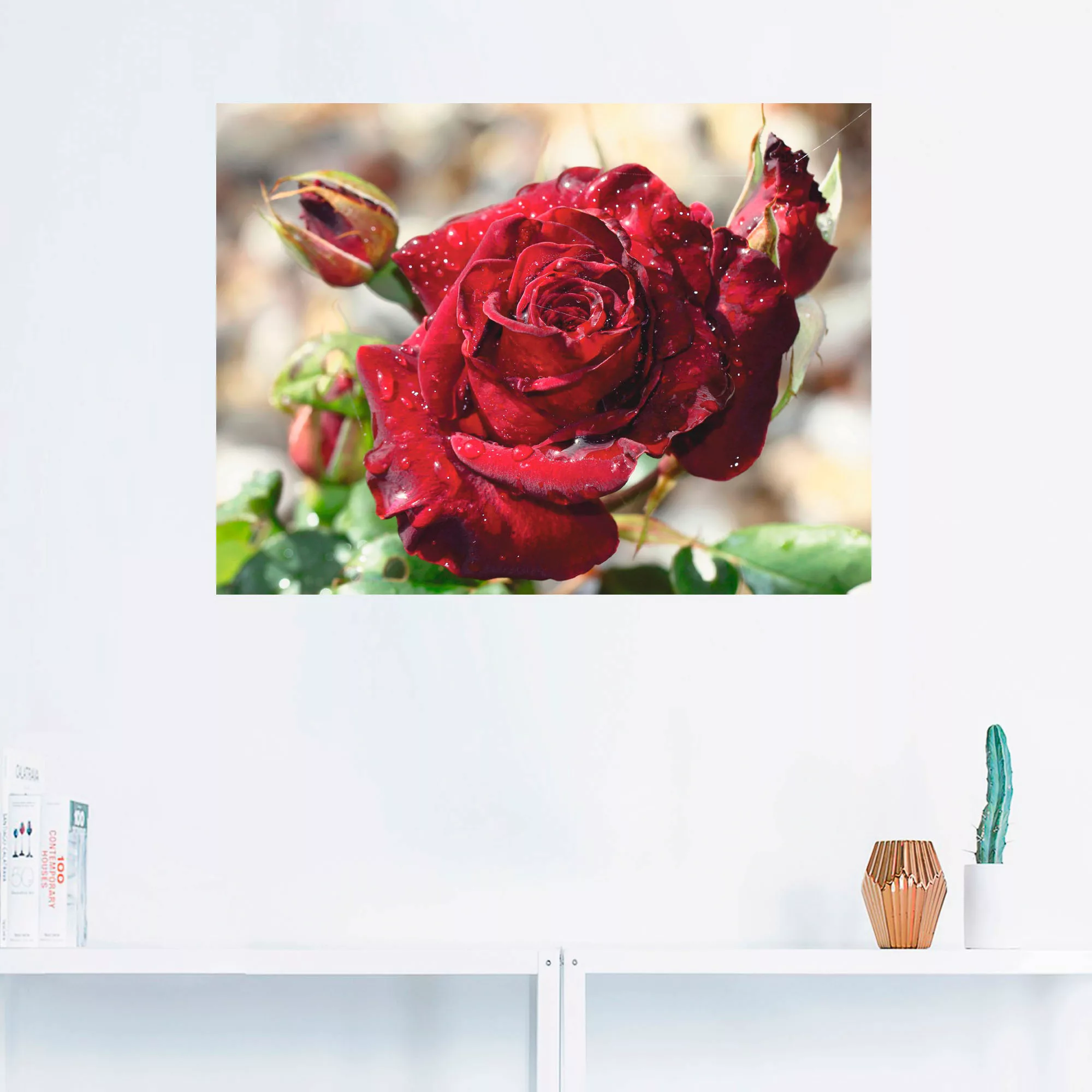 Artland Wandbild "Tröpfchenrose", Blumen, (1 St.) günstig online kaufen