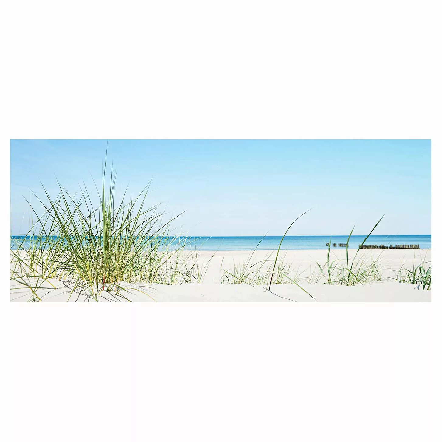 Glasbild Natur & Landschaft - Panorama Ostseeküste günstig online kaufen