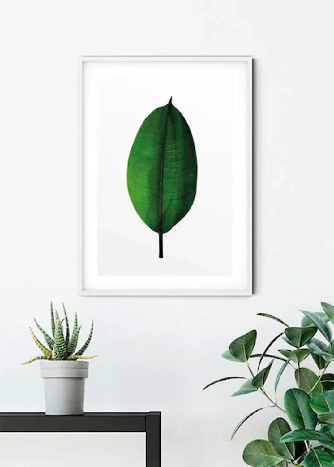 Komar Poster »Ficus Leaf«, Pflanzen-Blätter, (1 St.), Kinderzimmer, Schlafz günstig online kaufen