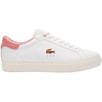 Lacoste  Sneaker - günstig online kaufen