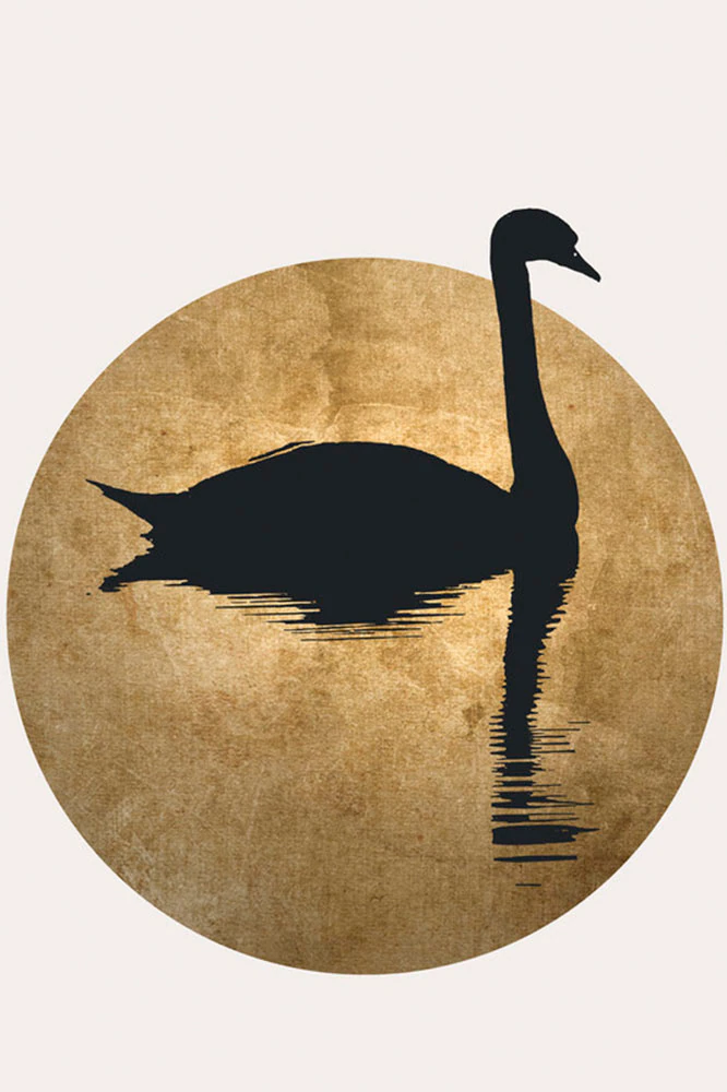 A.S. Création Leinwandbild "The Swan 2 - Wandbild Creme Schwarz Gold Keilra günstig online kaufen