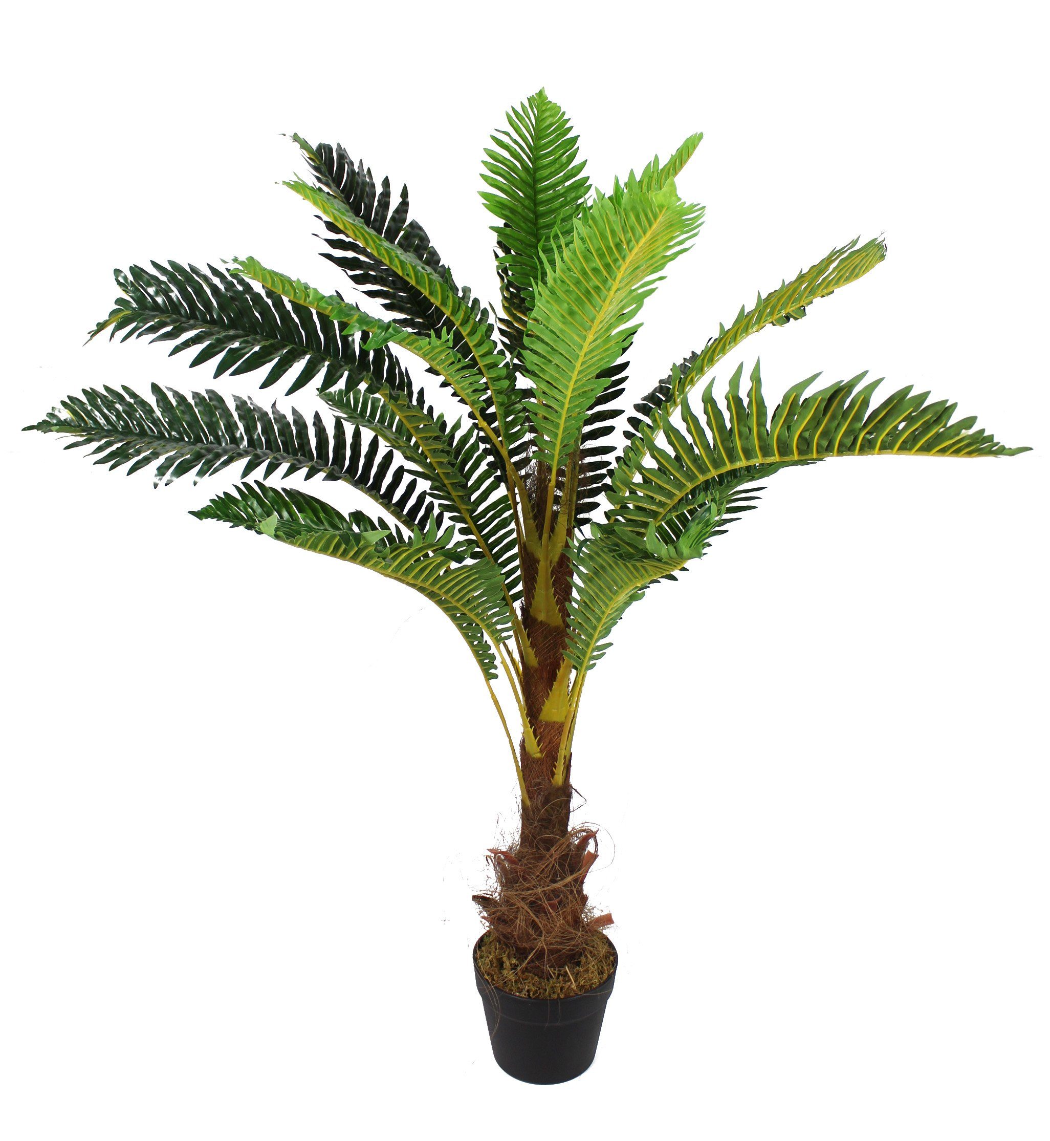 Kunstpalme Kunstpflanze Palme künstliche Pflanze wie günstig online kaufen