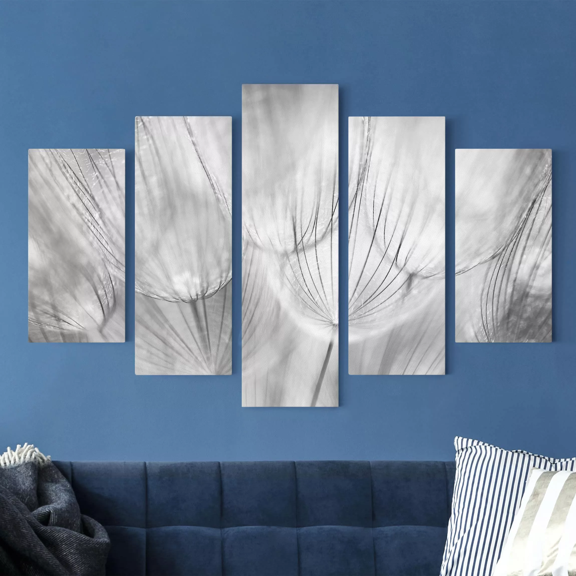 5-teiliges Leinwandbild - Querformat Pusteblumen Makroaufnahme in schwarz w günstig online kaufen