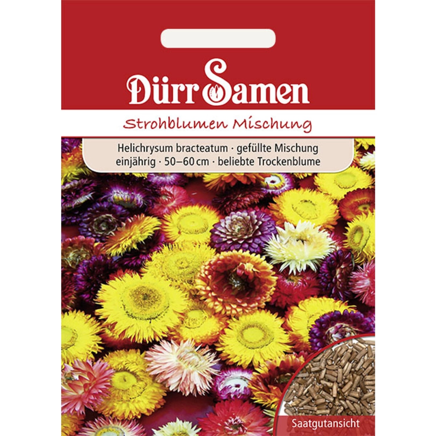 Dürr Samen Strohblume Gefüllte Mischung Einjährig Saatgut günstig online kaufen