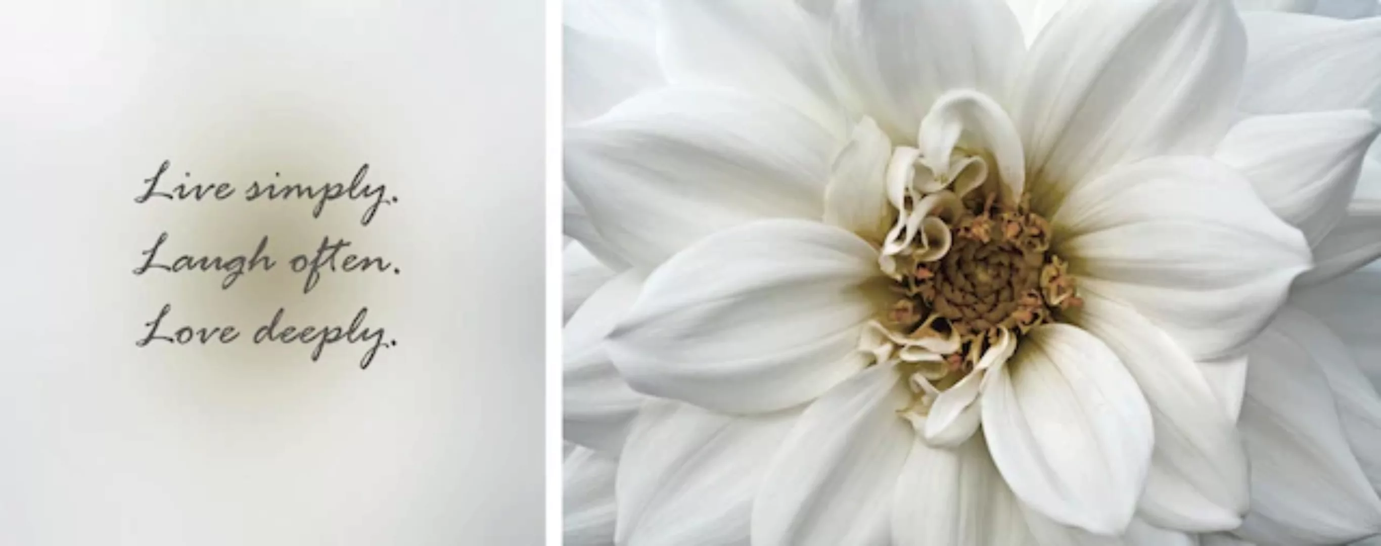 queence Leinwandbild »Live, Laugh & Love«, Blumen-Blumenbilder-Kunst-Modern günstig online kaufen