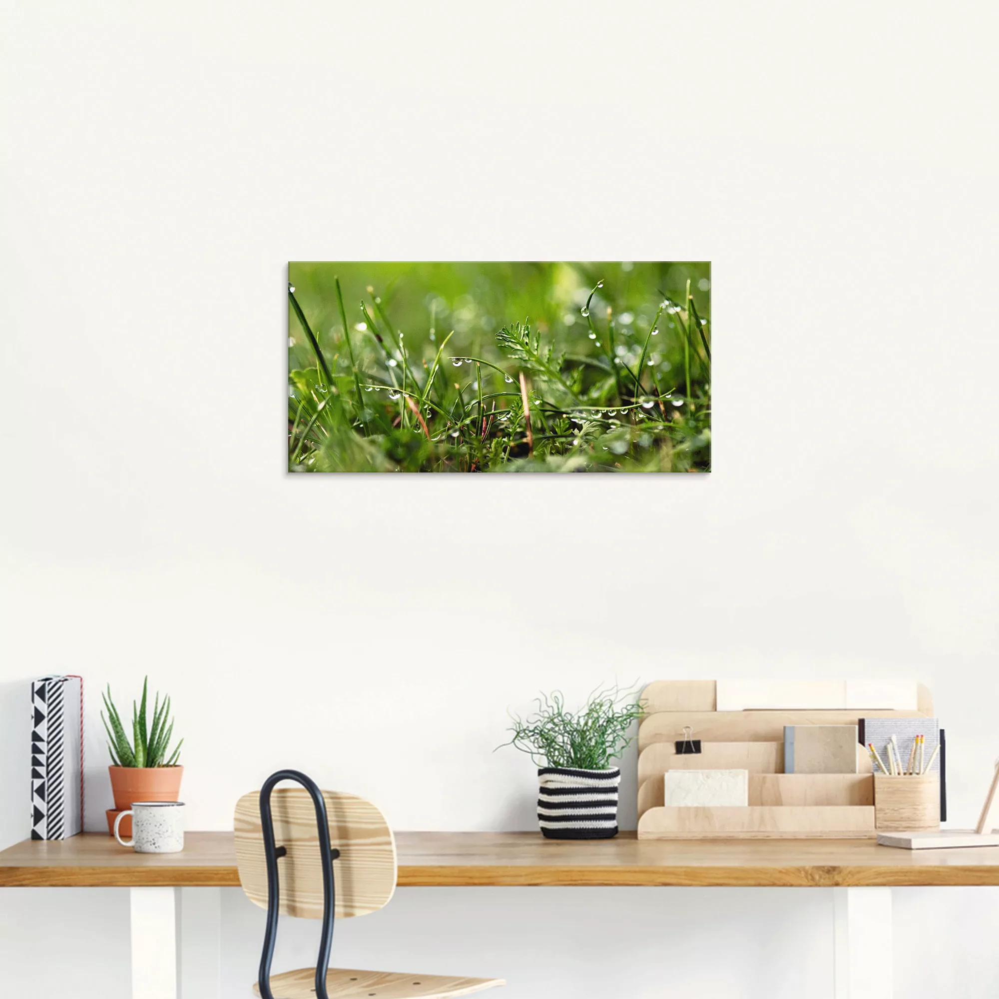Artland Glasbild "Tautropfen", Gräser, (1 St.), in verschiedenen Größen günstig online kaufen