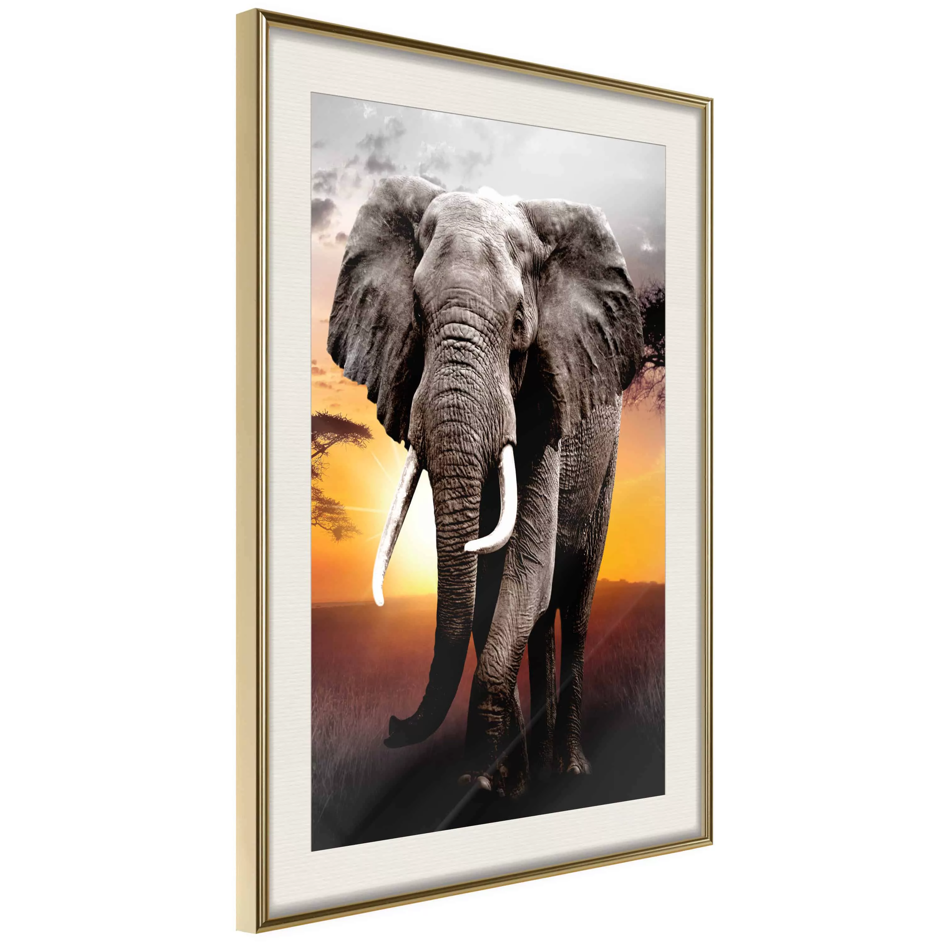 Poster - Majestic Elephant günstig online kaufen