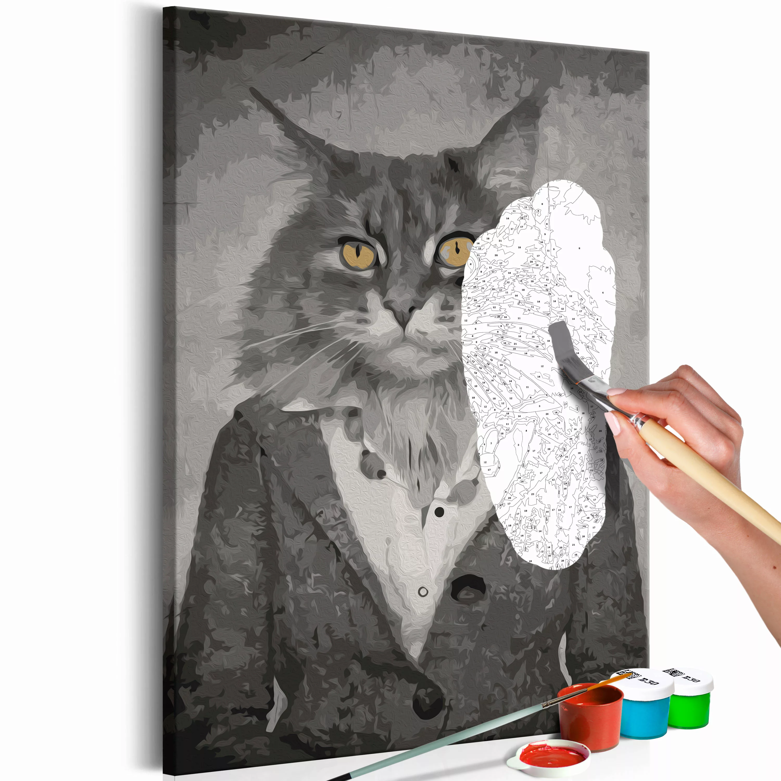 Malen Nach Zahlen - Elegant Cat günstig online kaufen