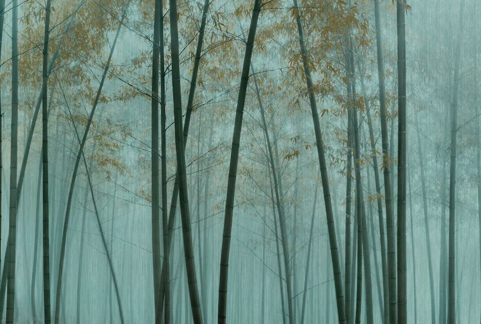 living walls Fototapete »Walls by Patel In The Bamboo« günstig online kaufen