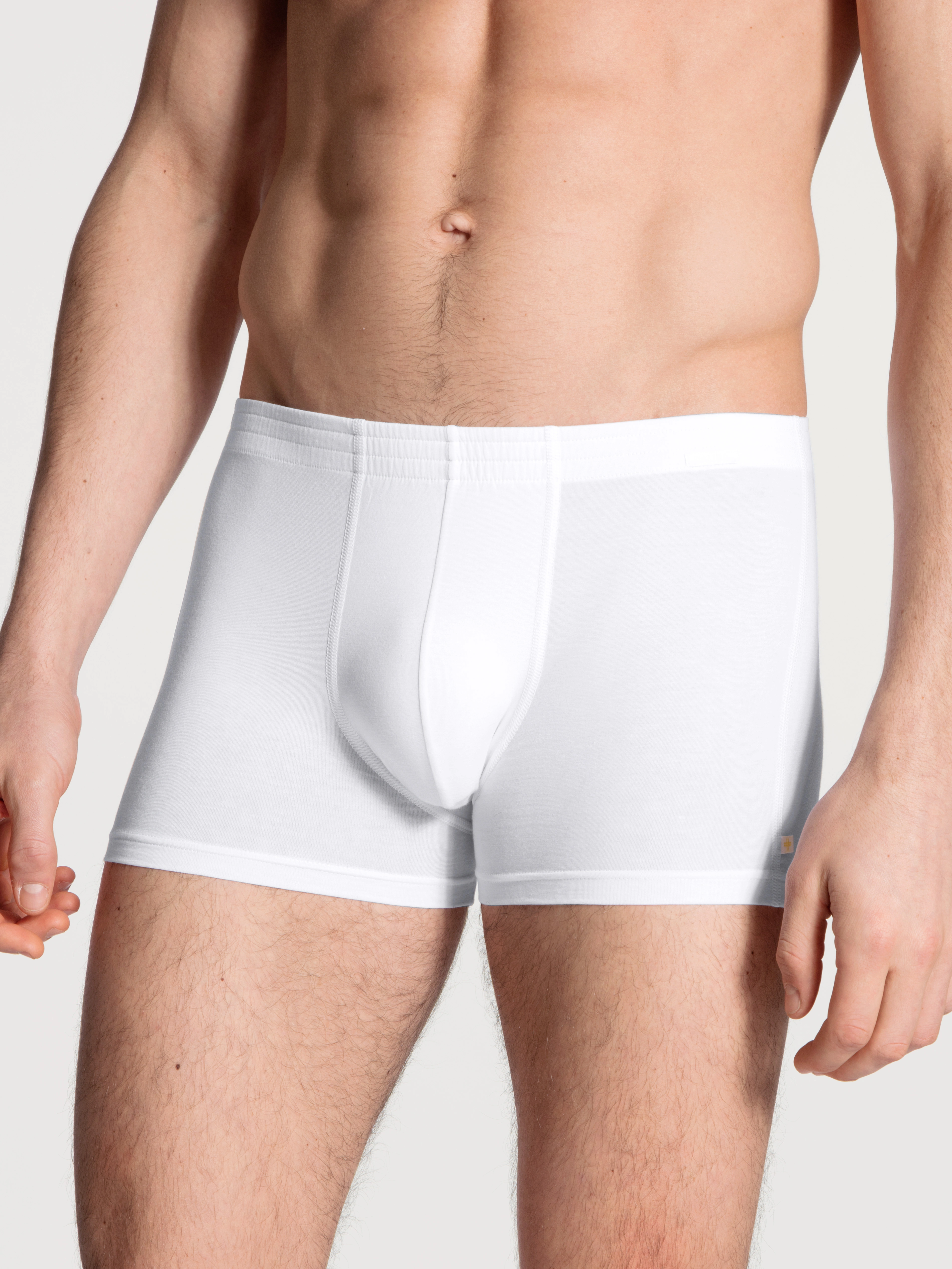 CALIDA Boxer "Focus", Herren-Trunk mit bezogenem Bund günstig online kaufen