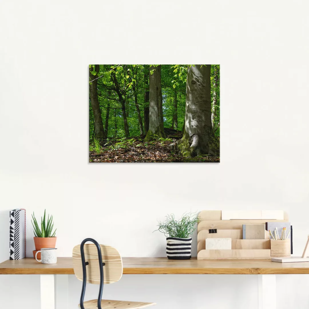 Artland Glasbild »Frühling im Buchenwald«, Wald, (1 St.) günstig online kaufen