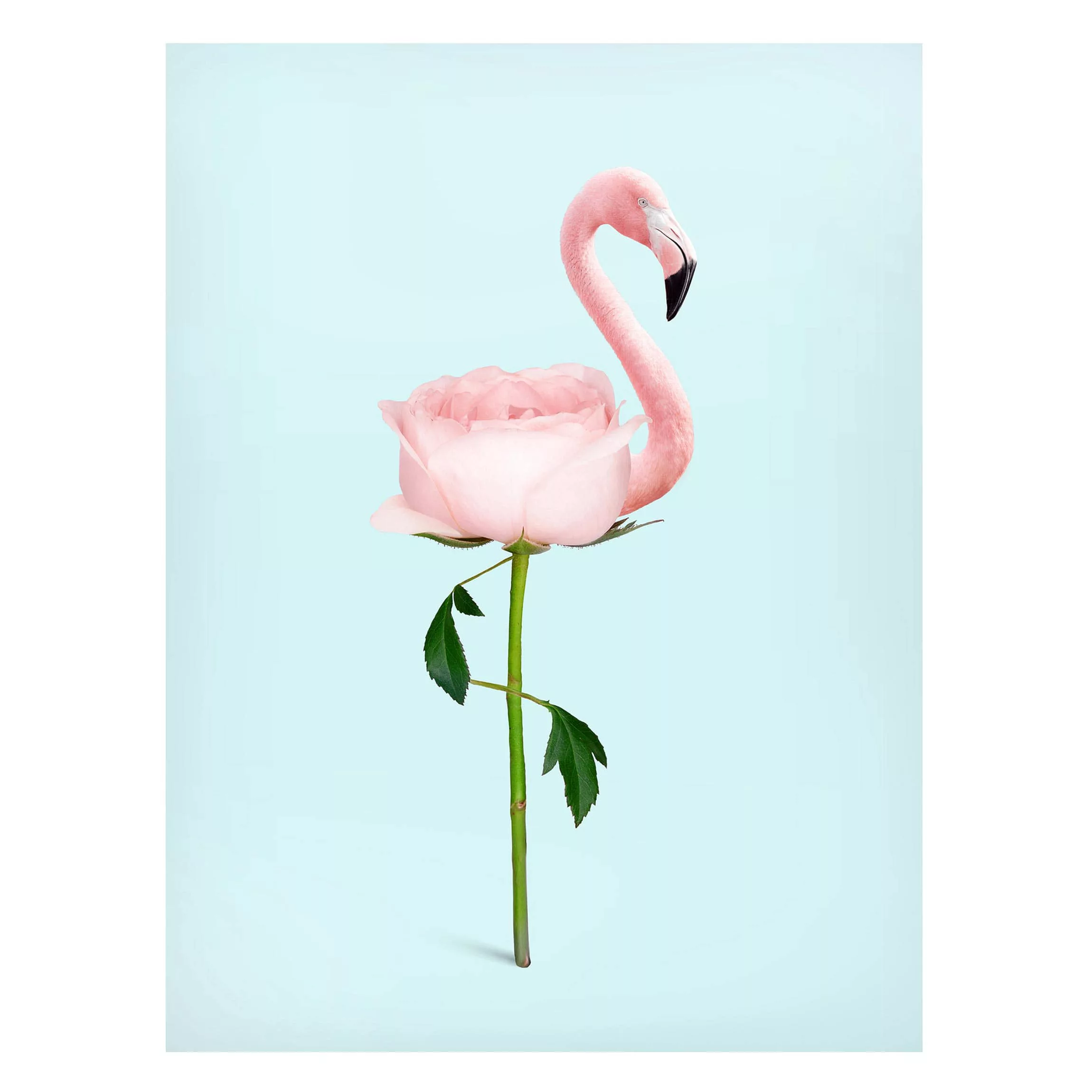 Magnettafel Blumen - Hochformat 3:4 Flamingo mit Rose günstig online kaufen