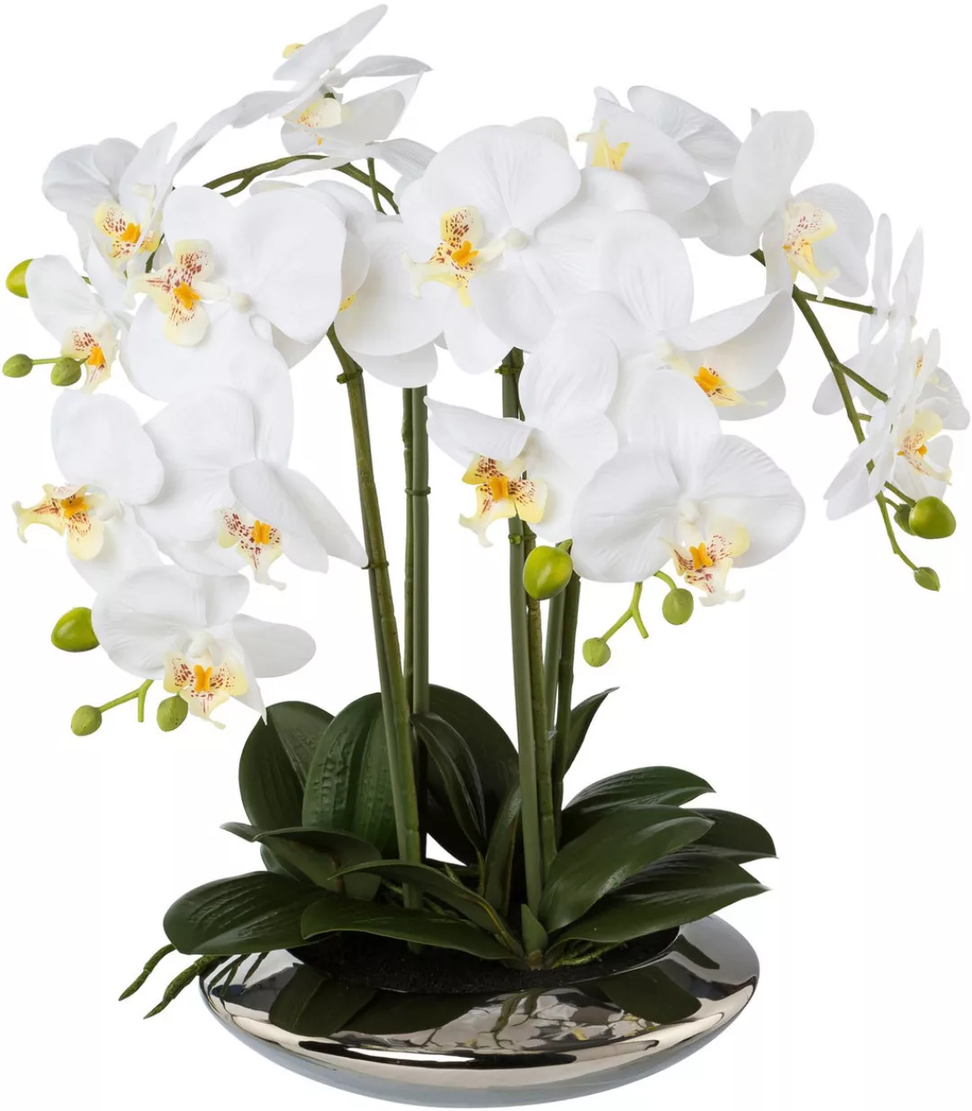 Creativ green Kunstorchidee "Deko-Orchidee Phalaenopsis in Keramikschale" günstig online kaufen
