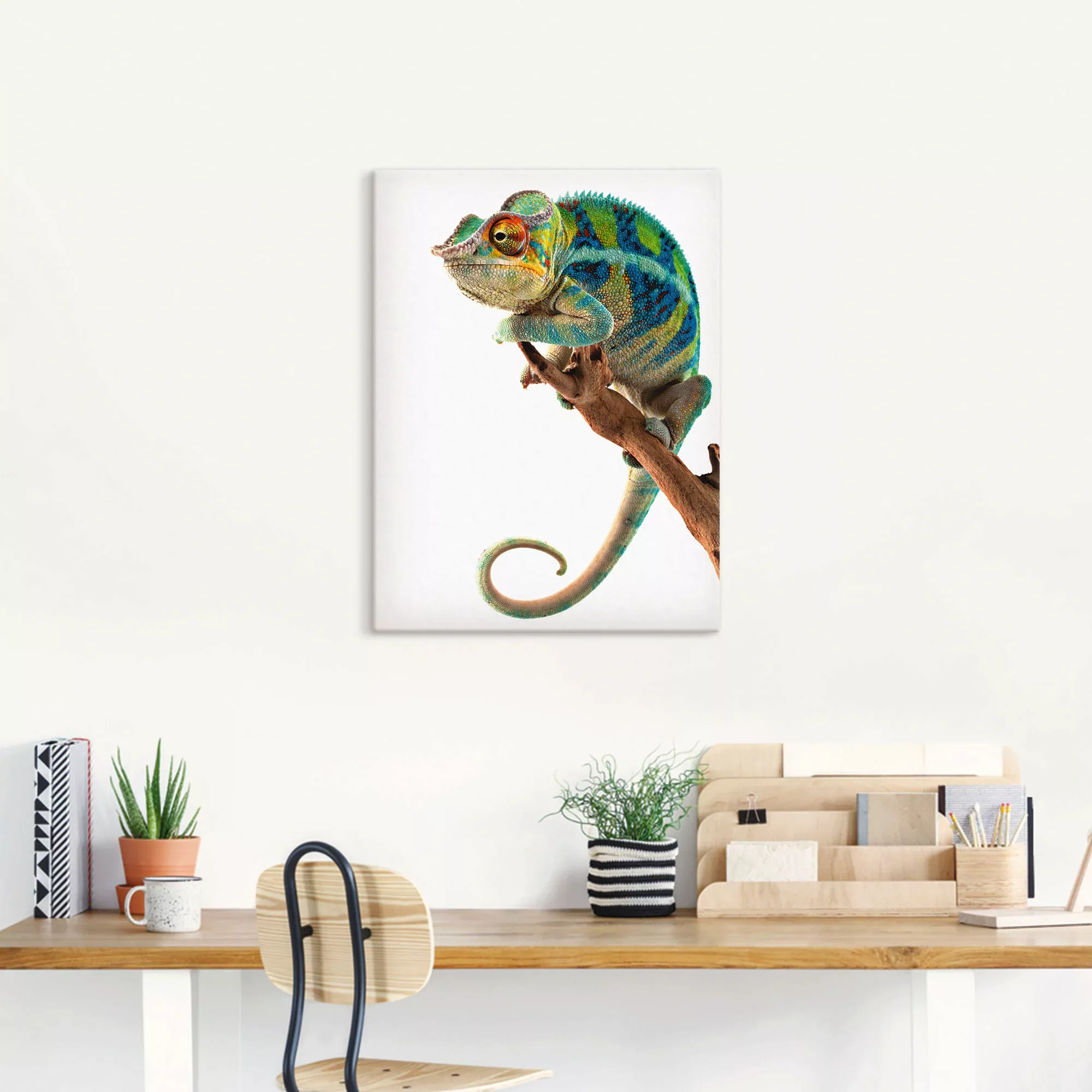 Artland Wandbild "Ambanja Panther Chamäleon", Reptilien, (1 St.), als Leinw günstig online kaufen