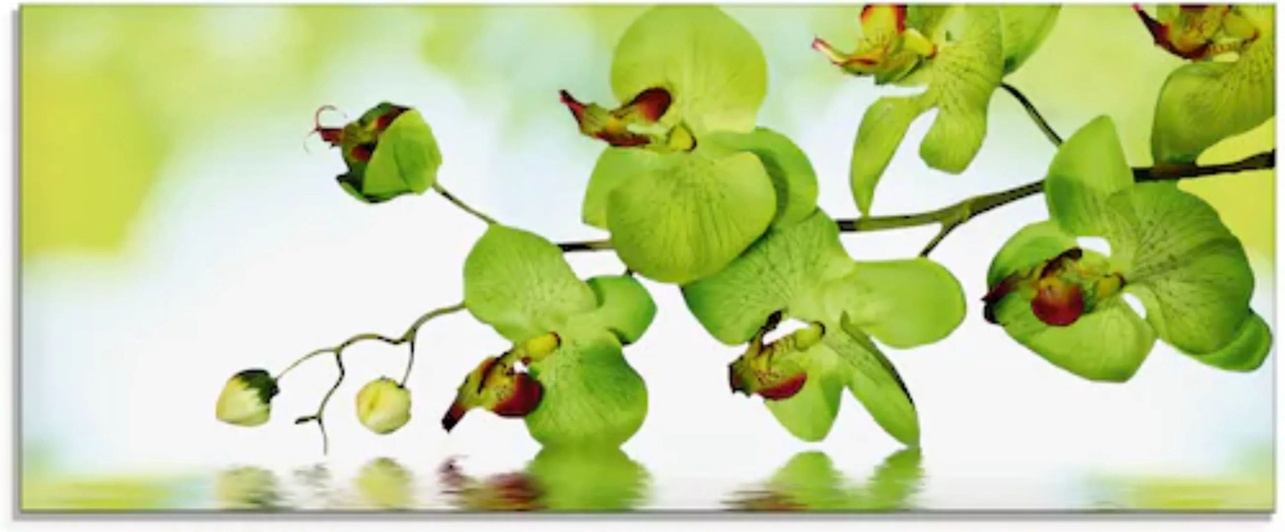 Artland Glasbild »Schöne Orchidee mit grünem Hintergrund«, Blumen, (1 St.), günstig online kaufen