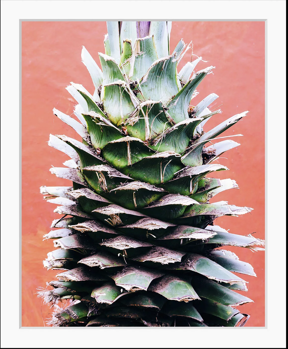 queence Bild "Lassi", Obst-Obst Bilder-Lebensmittel-Essen-Kunst-Figuren, (1 günstig online kaufen