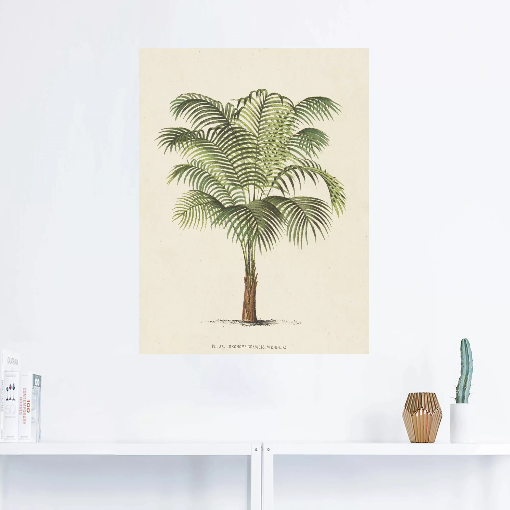 Artland Wandbild "Palme II", Pflanzen, (1 St.) günstig online kaufen