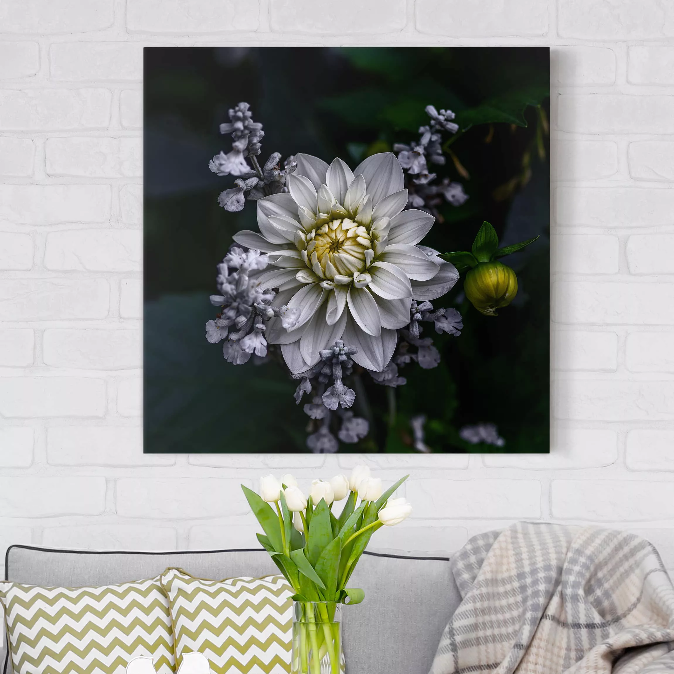 Leinwandbild Blumen - Quadrat Weiße Dahlie günstig online kaufen