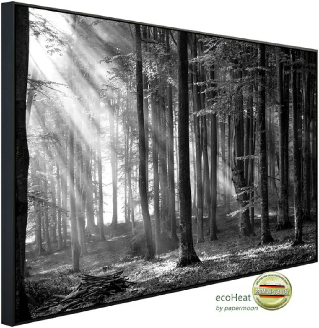 Papermoon Infrarotheizung »Wald Schwarz & Weiß« günstig online kaufen