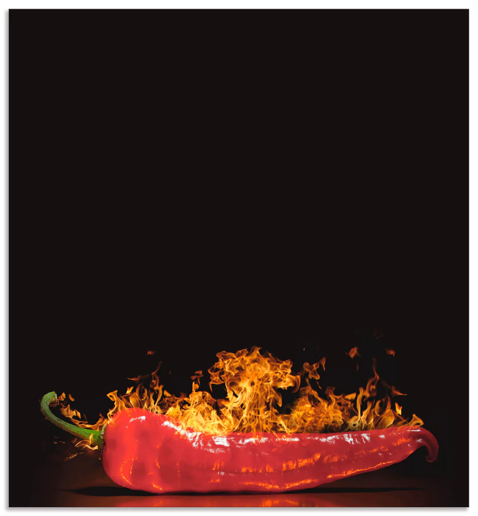 Artland Küchenrückwand "Roter scharfer Chilipfeffer", (1 tlg.), Alu Spritzs günstig online kaufen