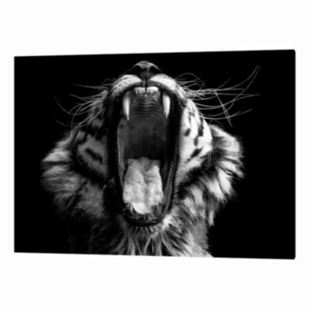 Any Image Wandbild Tiger grau Gr. 30 x 40 günstig online kaufen