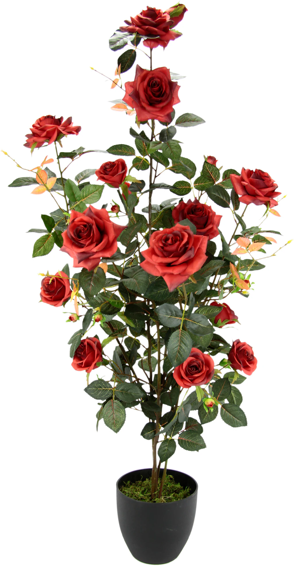 Kunstbaum Rosenbusch im Topf, I.GE.A., Höhe günstig online kaufen