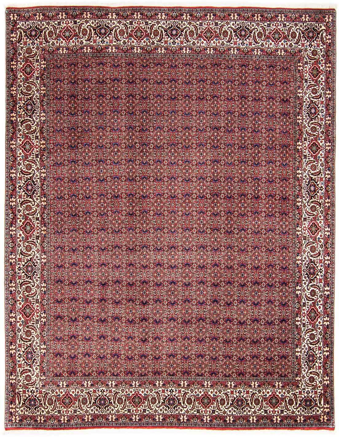 morgenland Orientteppich »Perser - Bidjar - 292 x 250 cm - hellrot«, rechte günstig online kaufen