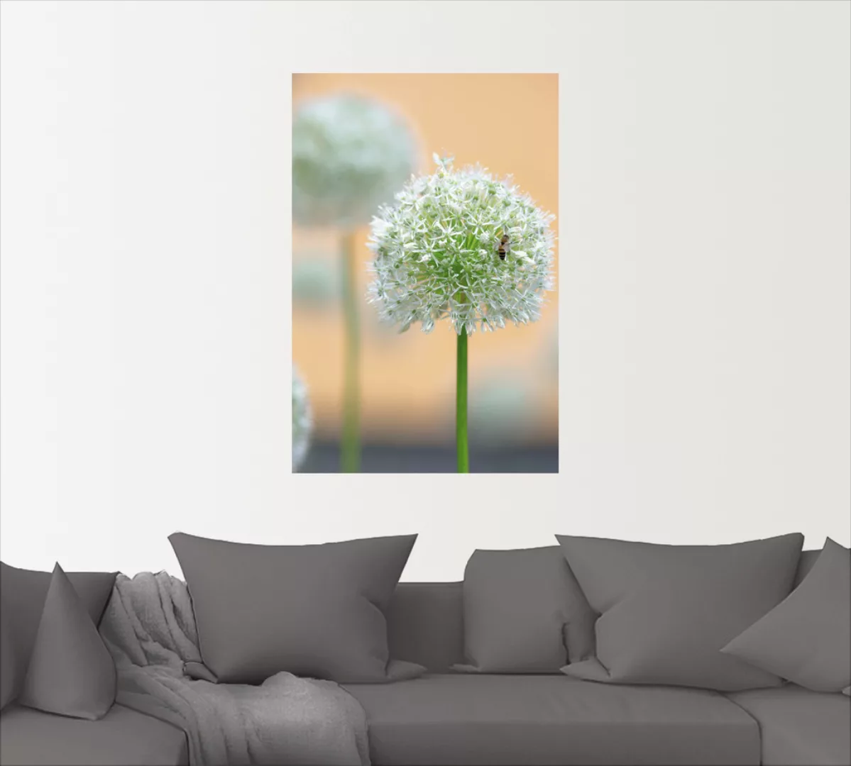 Artland Wandbild »Großer Allium in Pastell«, Blumen, (1 St.) günstig online kaufen