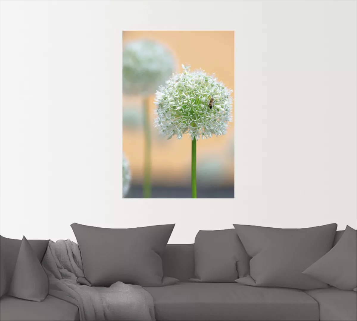 Artland Wandbild "Großer Allium in Pastell", Blumen, (1 St.), als Leinwandb günstig online kaufen