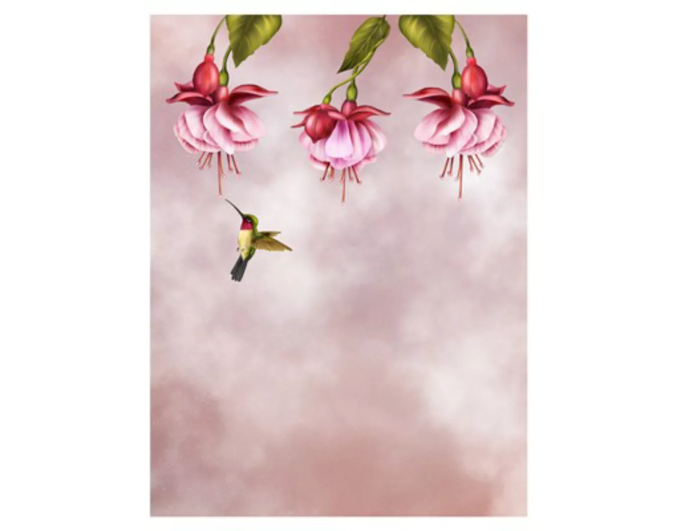 Fensterfolie Kolibri günstig online kaufen