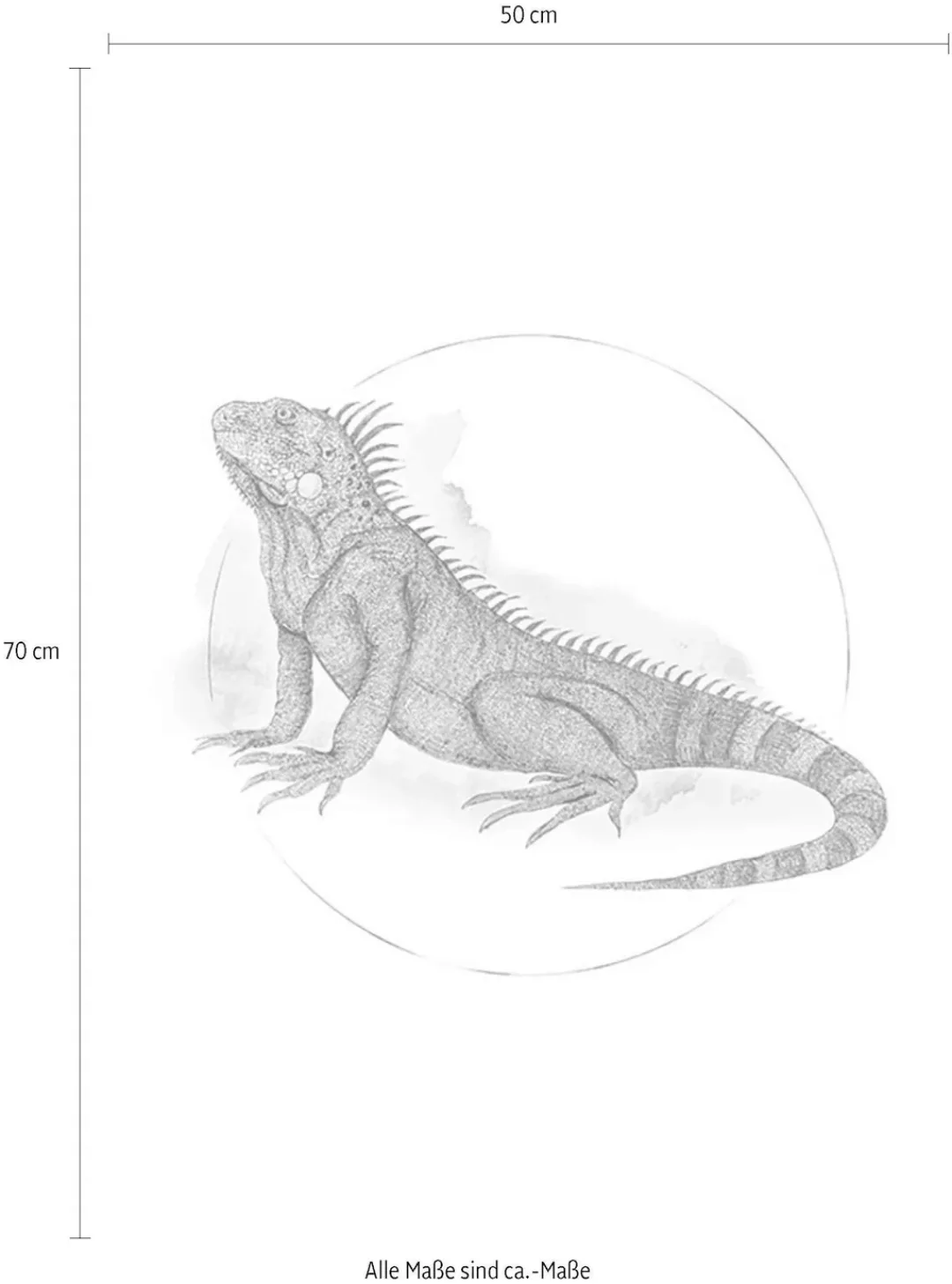 Komar Poster "Iguana Watercolor", Tiere, (1 St.) günstig online kaufen