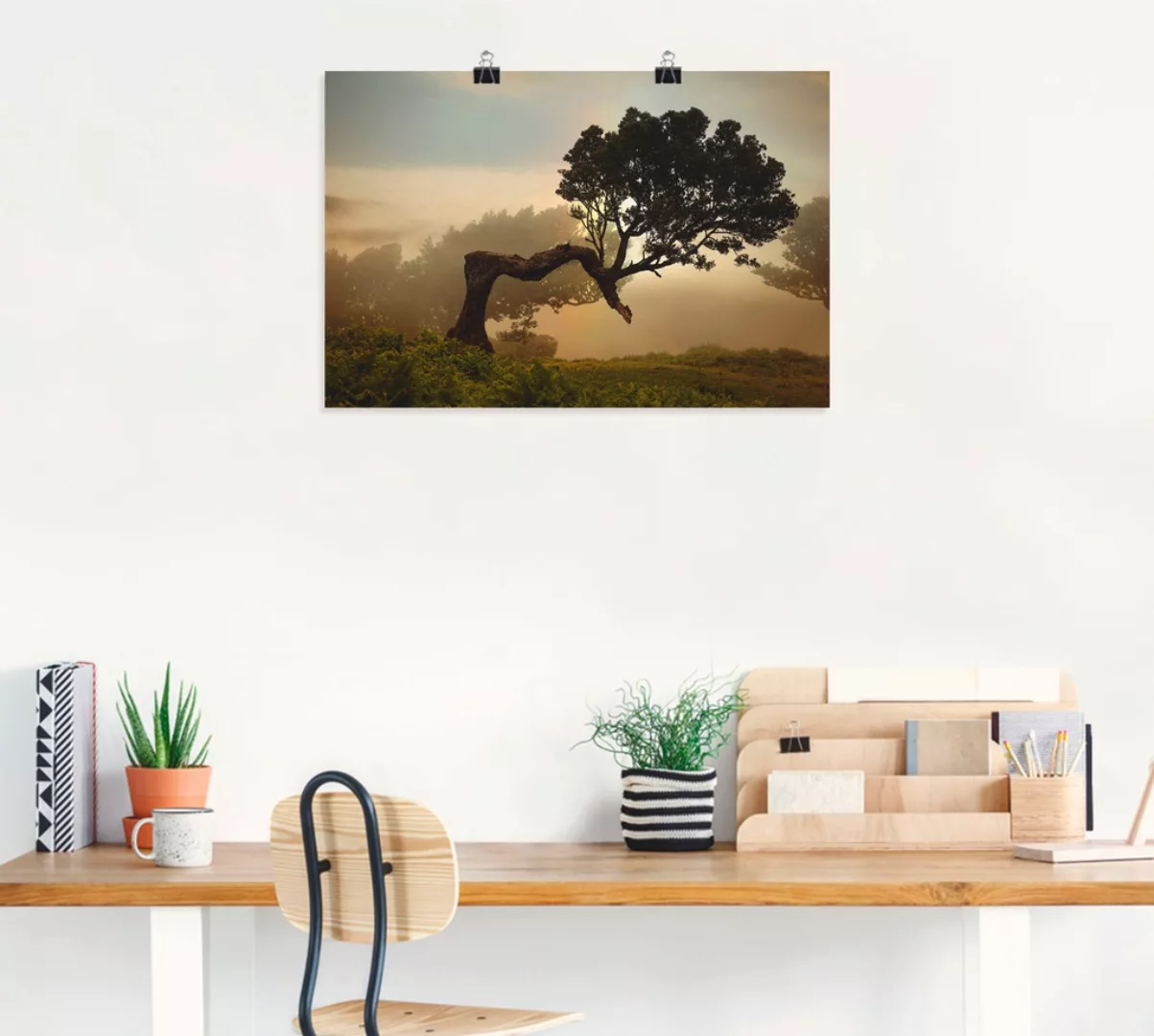 Artland Wandbild "Lorbeerbaum", Bäume, (1 St.), als Alubild, Outdoorbild, L günstig online kaufen