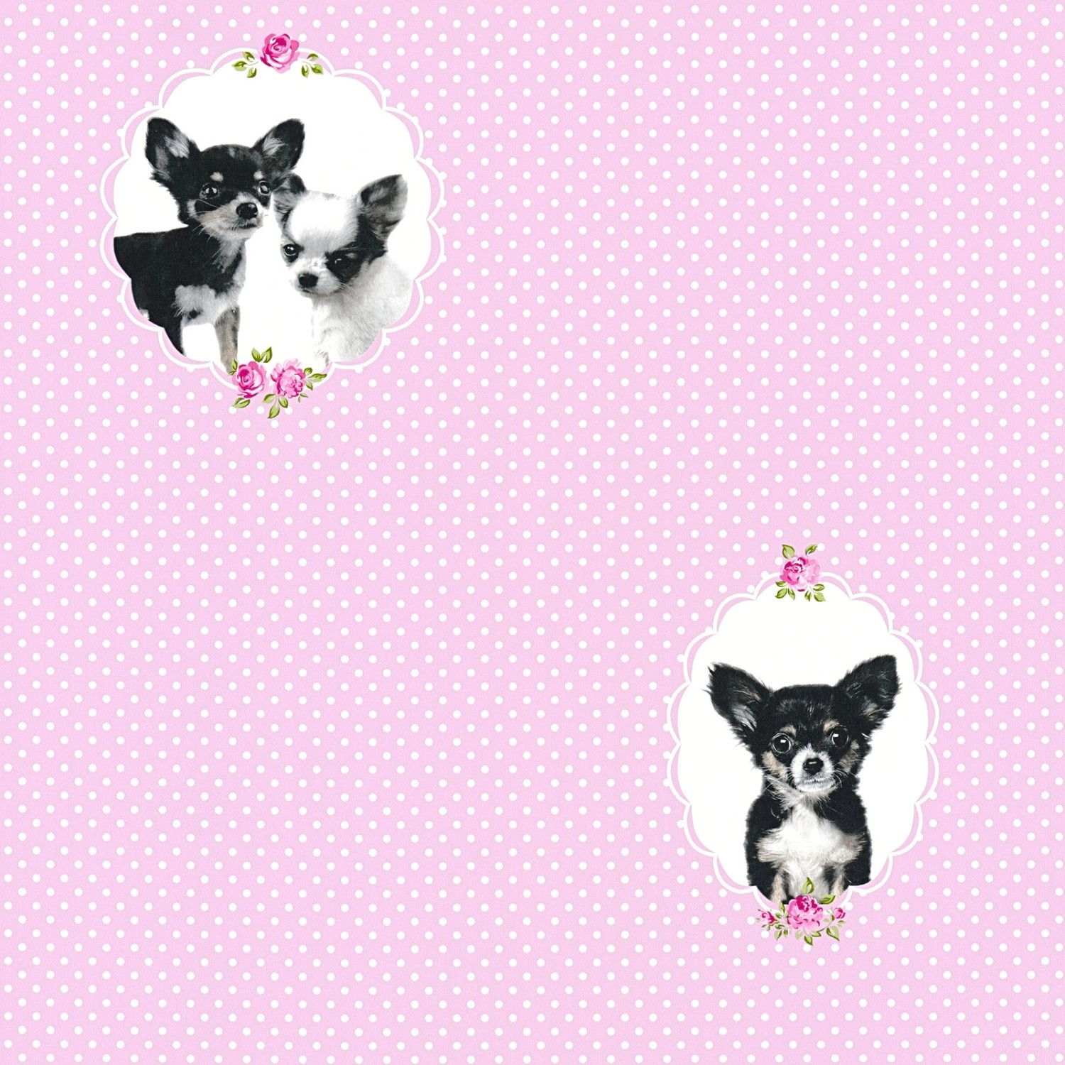 Bricoflor Chihuahua Tapete mit Punkten Tier Vliestapete in Schwarz Weiß Ide günstig online kaufen