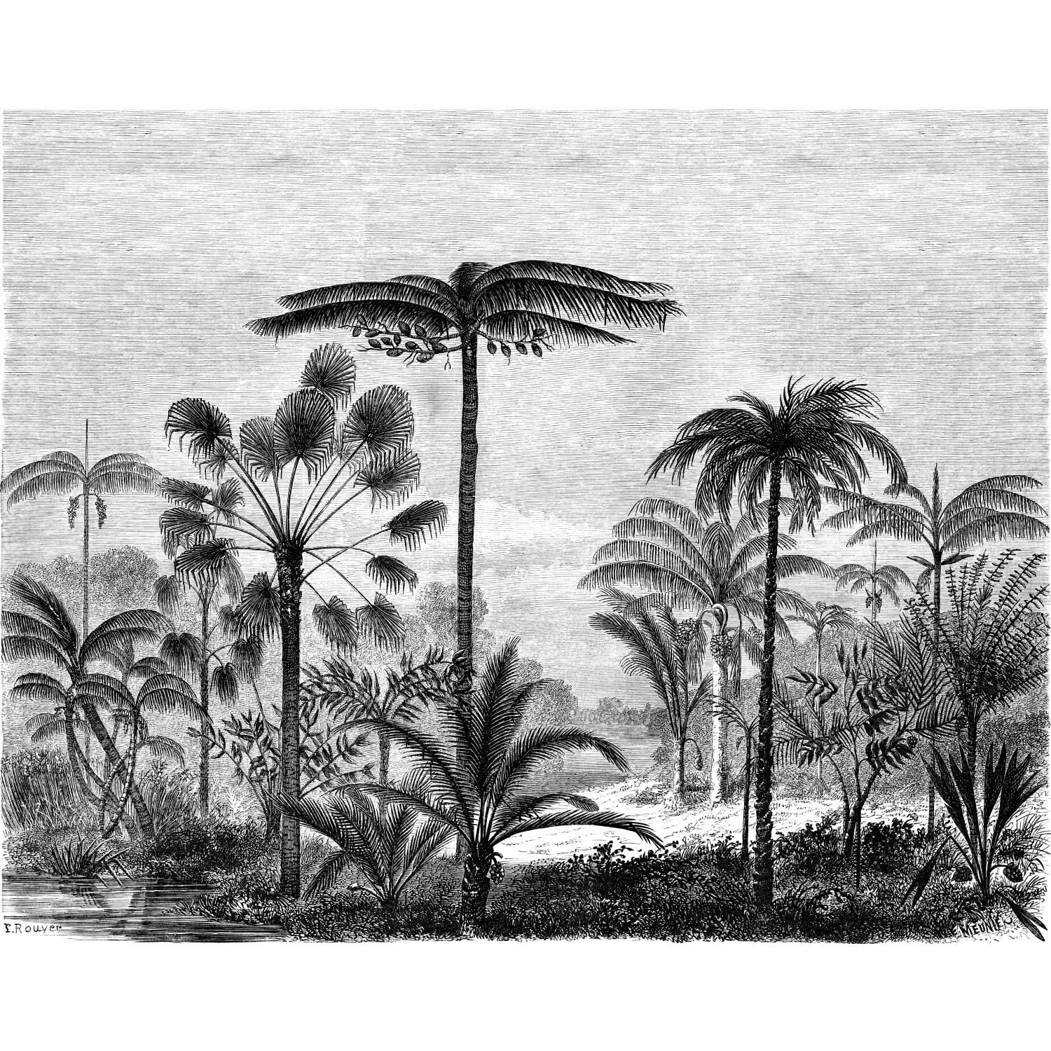 ESTAhome Fototapete Tropische Landschaft Mit Palmen Schwarz-Weiß 3,5 x 2,79 günstig online kaufen